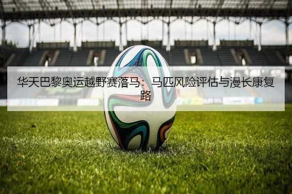 华天巴黎奥运越野赛落马：马匹风险评估与漫长康复路